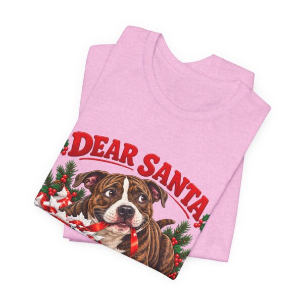 10058454727098242599_2048.jpeg T-Shirt — "Dear Santa Define Good" Christmas Pitty Tee