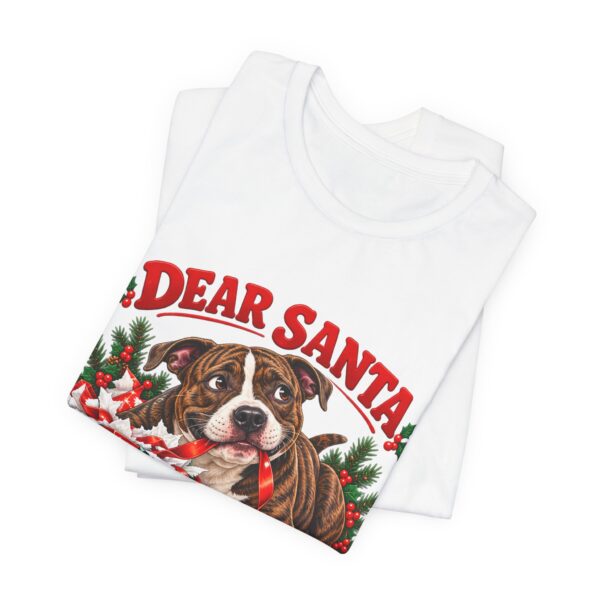 11224770014123679511_2048.jpeg T-Shirt — "Dear Santa Define Good" Christmas Pitty Tee