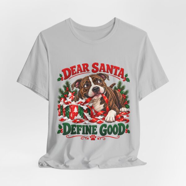 12006944935598395325_2048.jpeg T-Shirt — "Dear Santa Define Good" Christmas Pitty Tee
