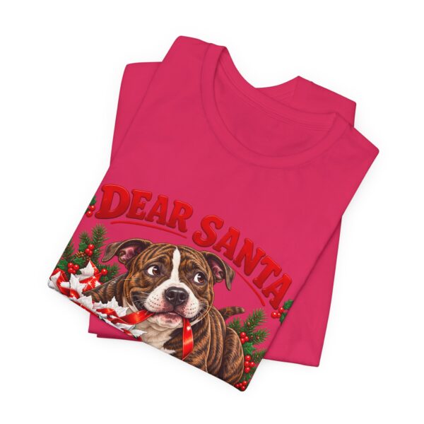 12047173928830056496_2048.jpeg T-Shirt — "Dear Santa Define Good" Christmas Pitty Tee
