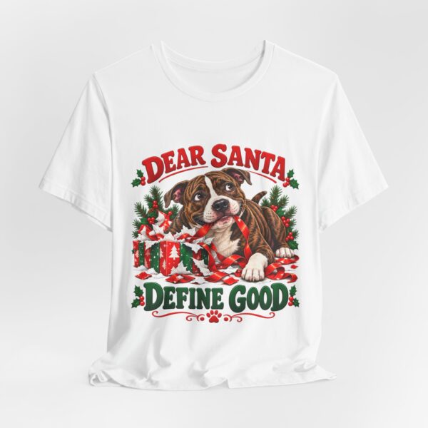 12852175178251150959_2048.jpeg T-Shirt — "Dear Santa Define Good" Christmas Pitty Tee
