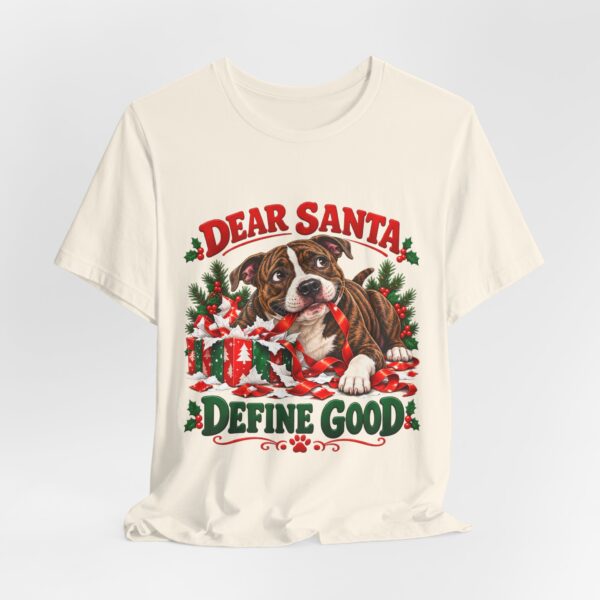 12951909667888420884_2048.jpeg T-Shirt — "Dear Santa Define Good" Christmas Pitty Tee