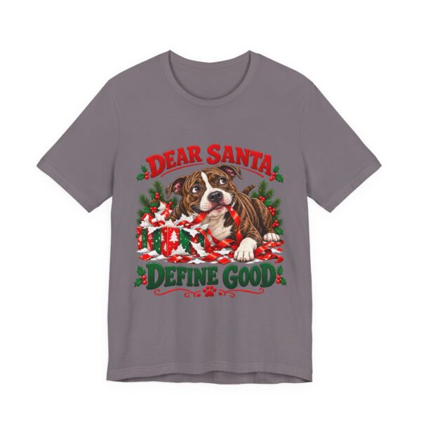 12954470582418821705_2048.jpeg T-Shirt — "Dear Santa Define Good" Christmas Pitty Tee