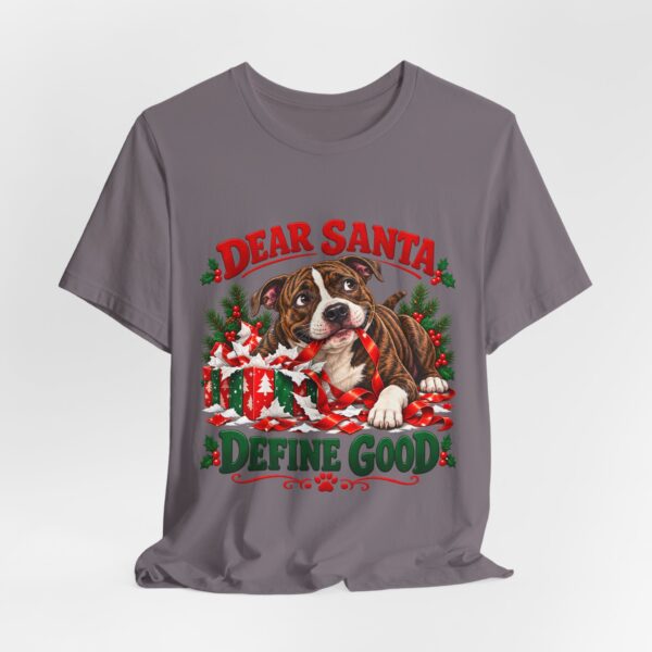 1339372082335753042_2048.jpeg T-Shirt — "Dear Santa Define Good" Christmas Pitty Tee