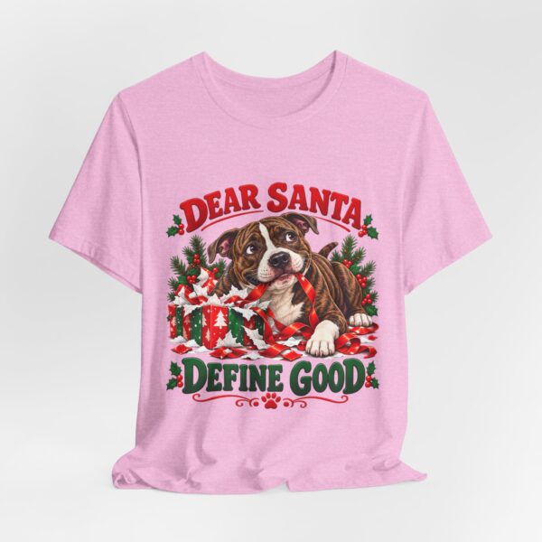 14098228726818349575_2048.jpeg T-Shirt — "Dear Santa Define Good" Christmas Pitty Tee