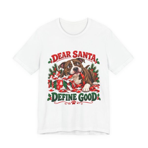 14119780671615028447_2048.jpeg T-Shirt — "Dear Santa Define Good" Christmas Pitty Tee