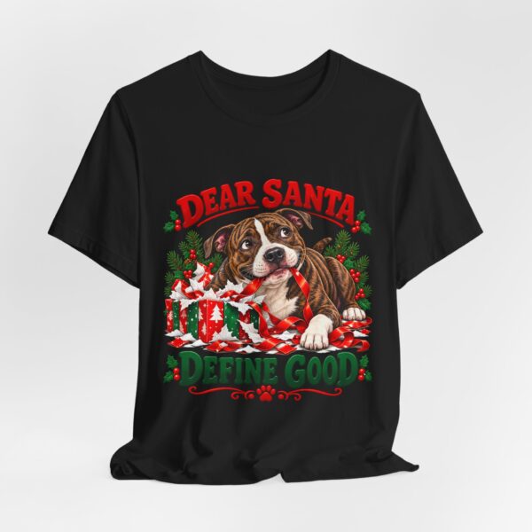 14483972001847127550_2048.jpeg T-Shirt — "Dear Santa Define Good" Christmas Pitty Tee