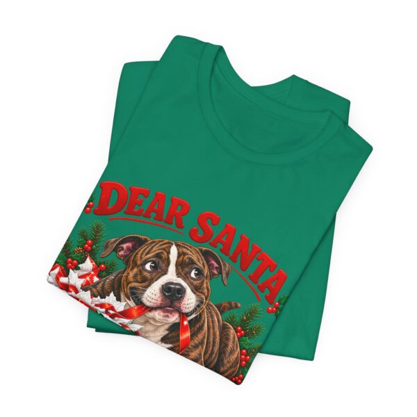 16115964580280960159_2048.jpeg T-Shirt — "Dear Santa Define Good" Christmas Pitty Tee