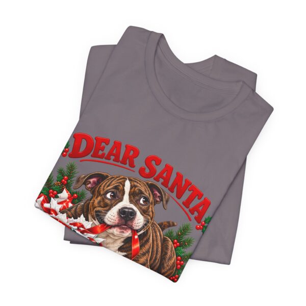 17819565591186010450_2048.jpeg T-Shirt — "Dear Santa Define Good" Christmas Pitty Tee