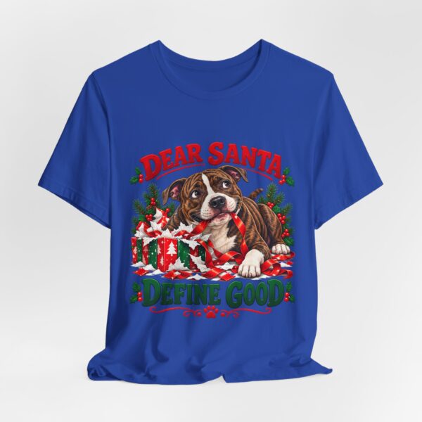 2200662563947015059_2048.jpeg T-Shirt — "Dear Santa Define Good" Christmas Pitty Tee