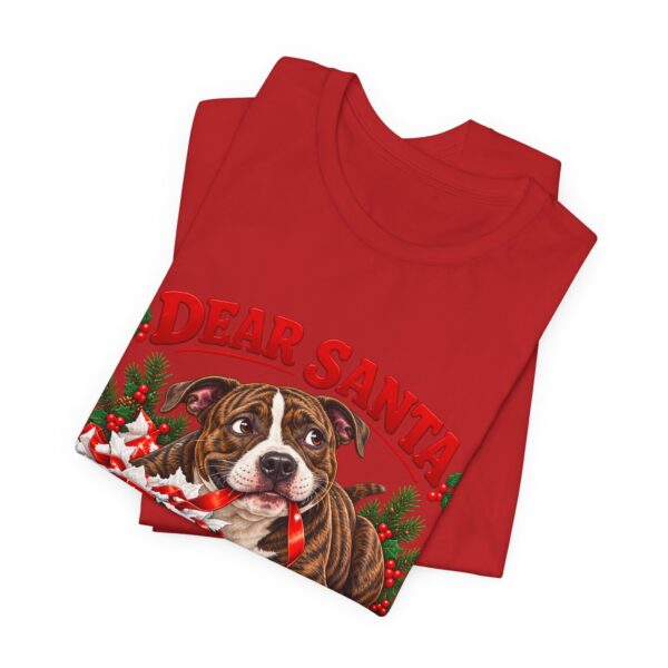 2697275840090835897_2048.jpeg T-Shirt — "Dear Santa Define Good" Christmas Pitty Tee