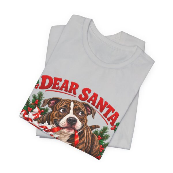 3609758756475840834_2048.jpeg T-Shirt — "Dear Santa Define Good" Christmas Pitty Tee
