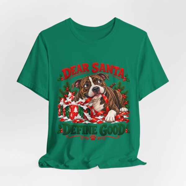 4052359264238261093_2048.jpeg T-Shirt — "Dear Santa Define Good" Christmas Pitty Tee