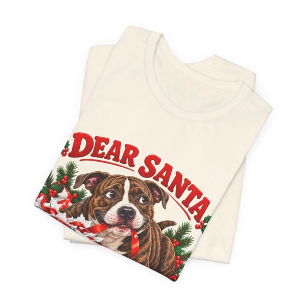 4751616156008128408_2048.jpeg T-Shirt — "Dear Santa Define Good" Christmas Pitty Tee