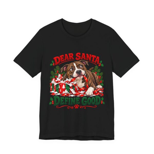 4983736257713615538_2048.jpeg T-Shirt — "Dear Santa Define Good" Christmas Pitty Tee