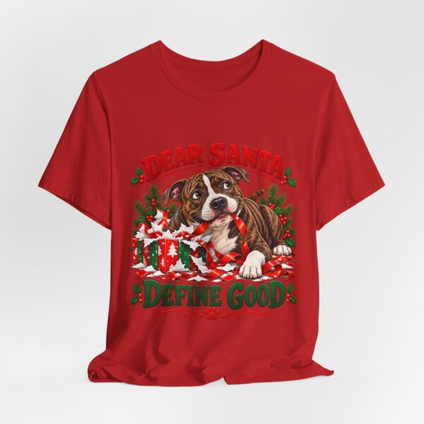 7120553180680147196_2048.jpeg T-Shirt — "Dear Santa Define Good" Christmas Pitty Tee