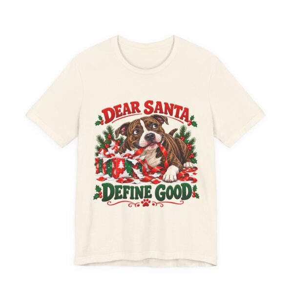 7135717649572439838_2048.jpeg T-Shirt — "Dear Santa Define Good" Christmas Pitty Tee