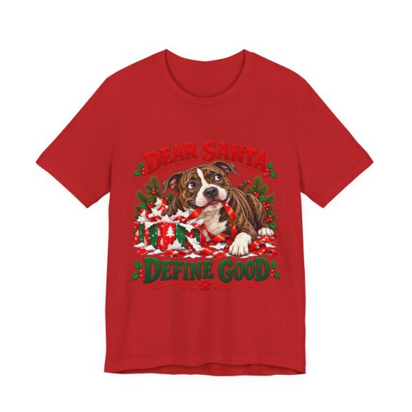 8671063719768938846_2048.jpeg T-Shirt — "Dear Santa Define Good" Christmas Pitty Tee